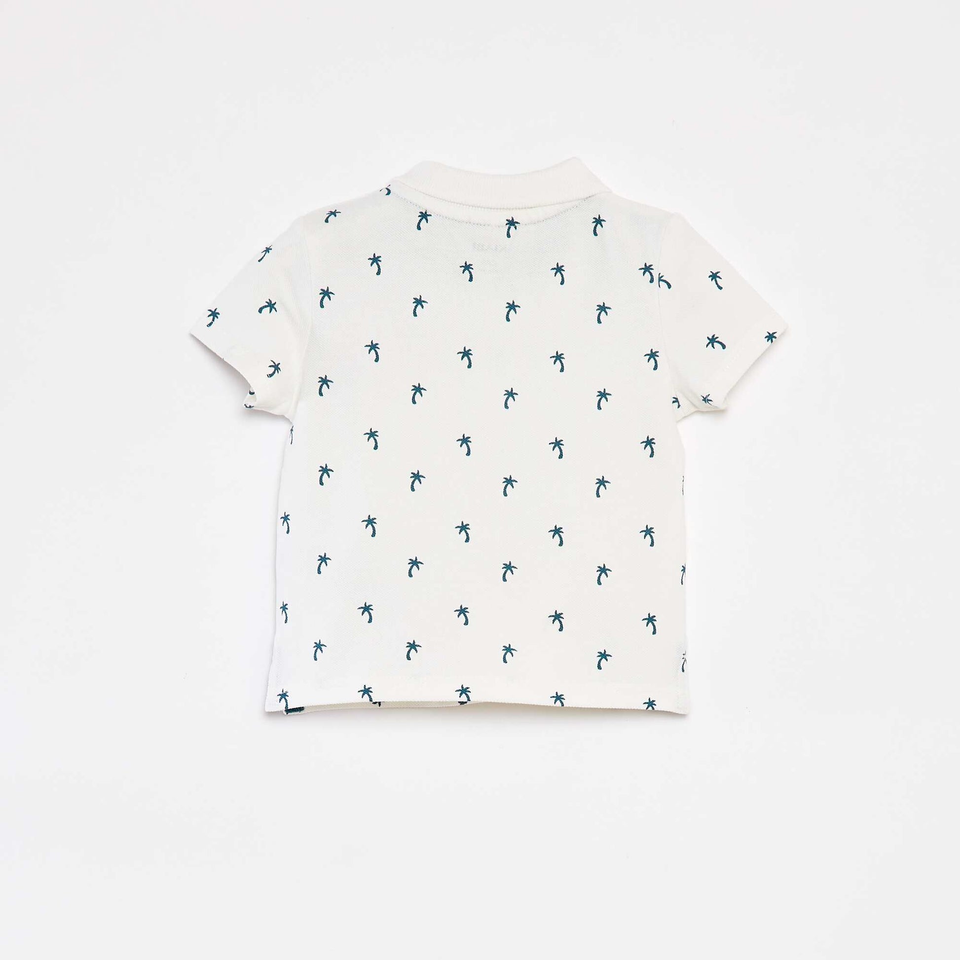 CRA14_1_ZC3