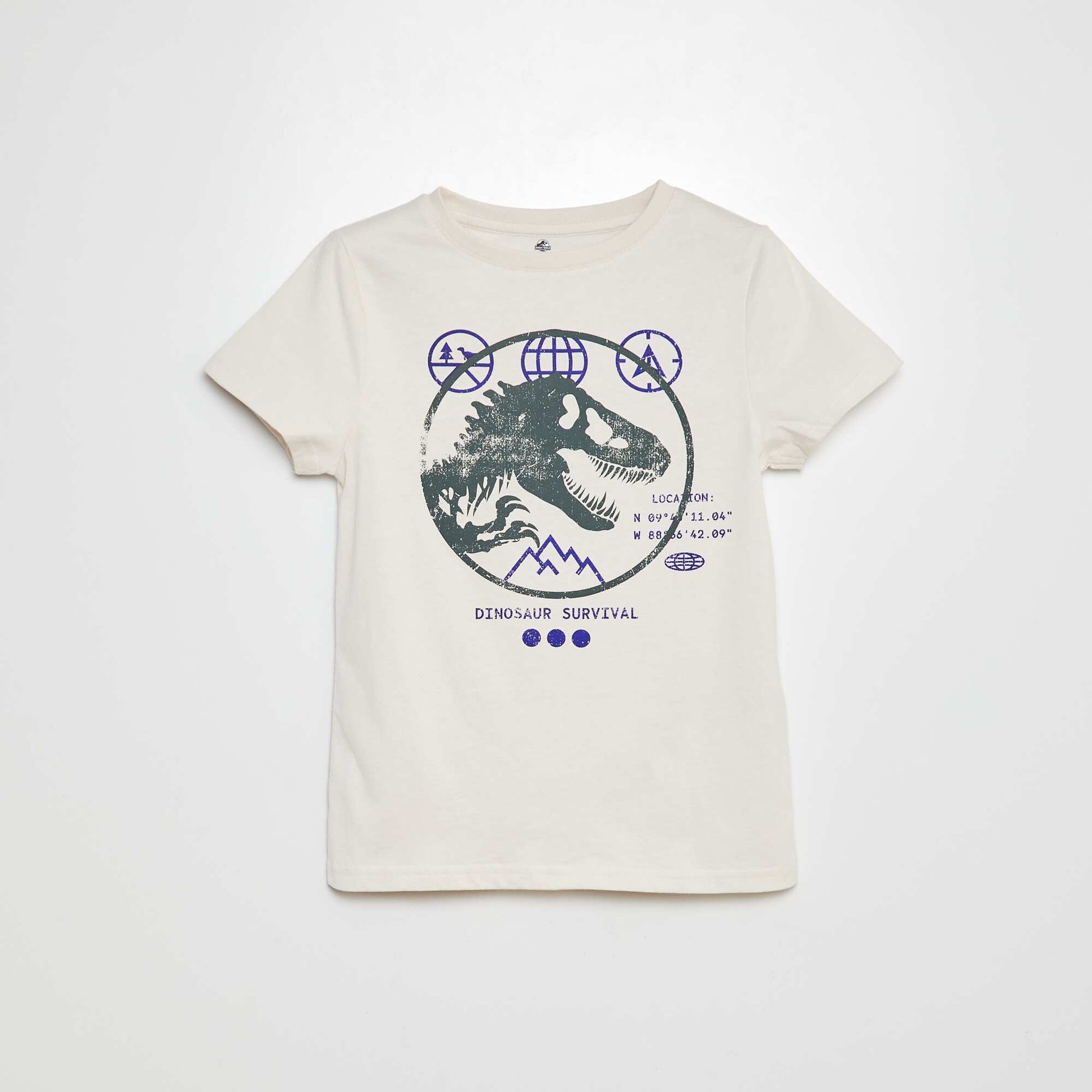 CRU18_1_ZC1