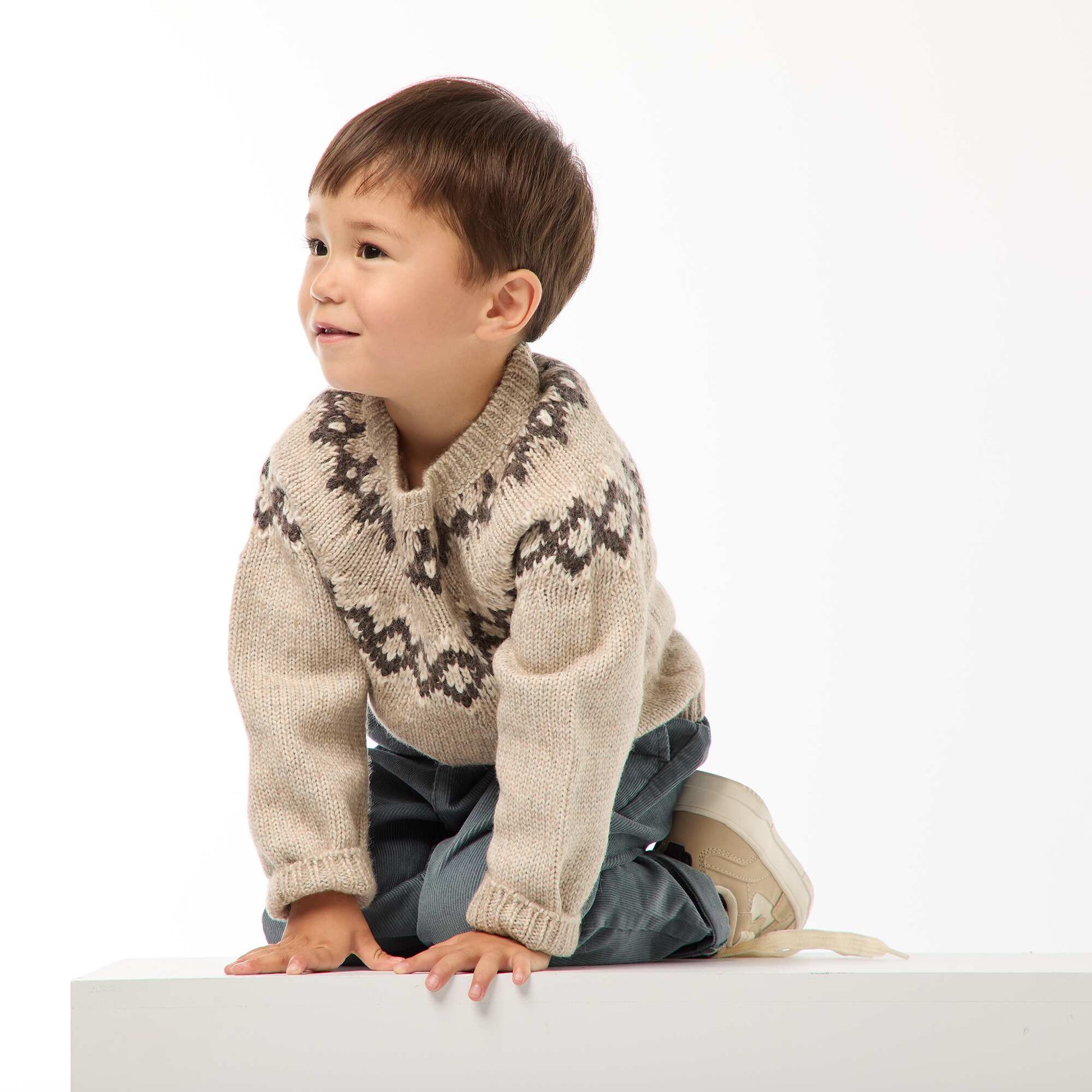 Pull chaud jacquard BEIGE
