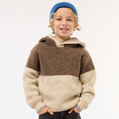 Pull à capuche color bloc MARRON