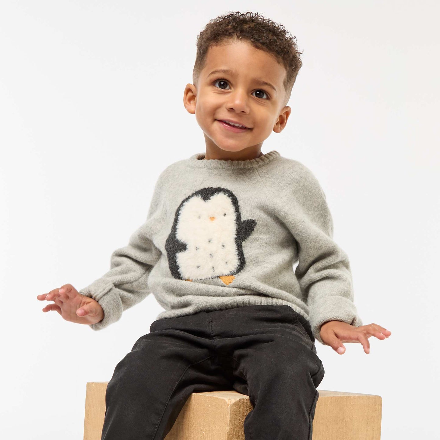 Pull jacquard 'pingouin' GRIS