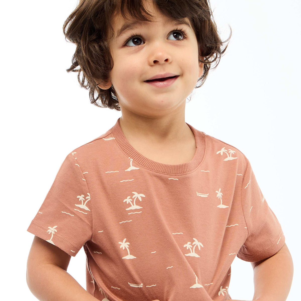 T-shirt uni en jersey coton MARRON