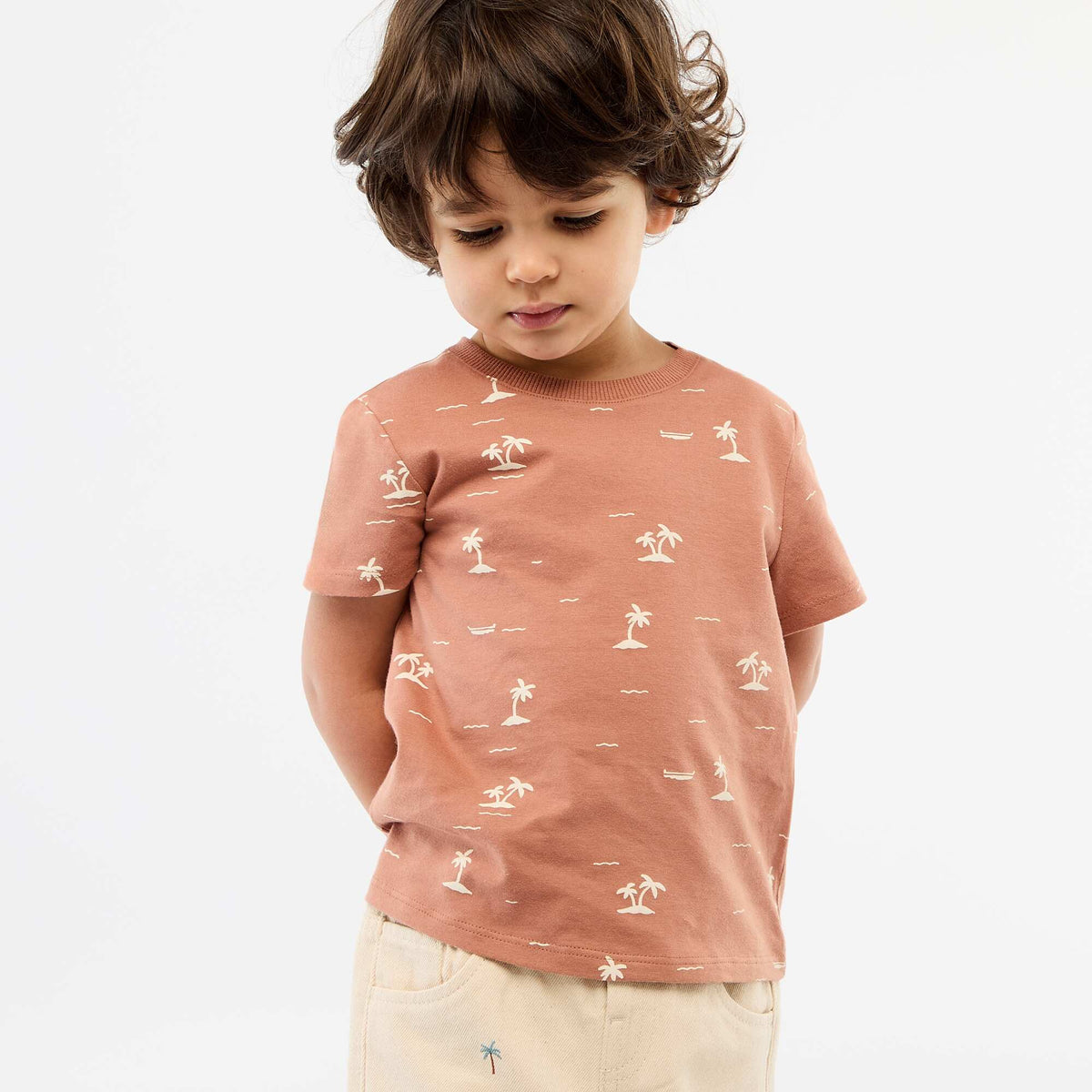 T-shirt uni en jersey coton MARRON