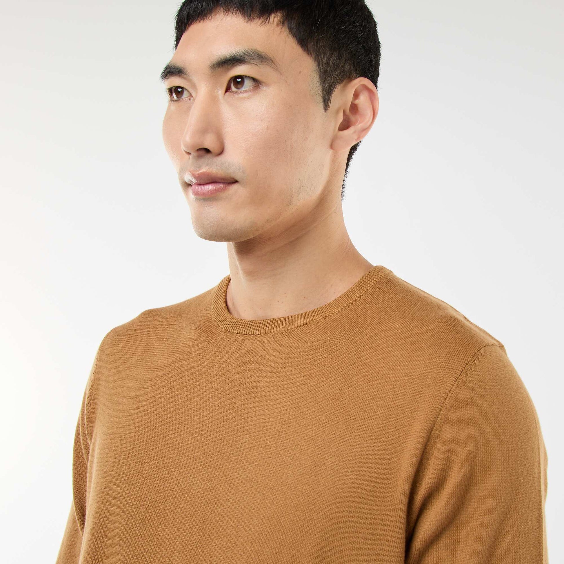 Pull uni à col rond BEIGE